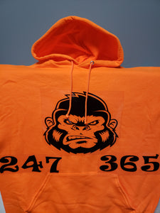 Ape 247 365